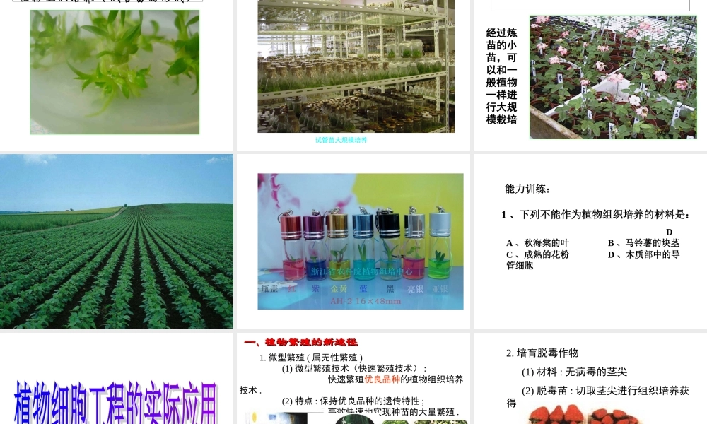 植物组织培养课件