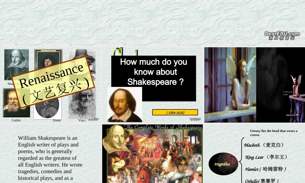 高二英语Unit19 reading the merchant of venice课件 人教版 课件