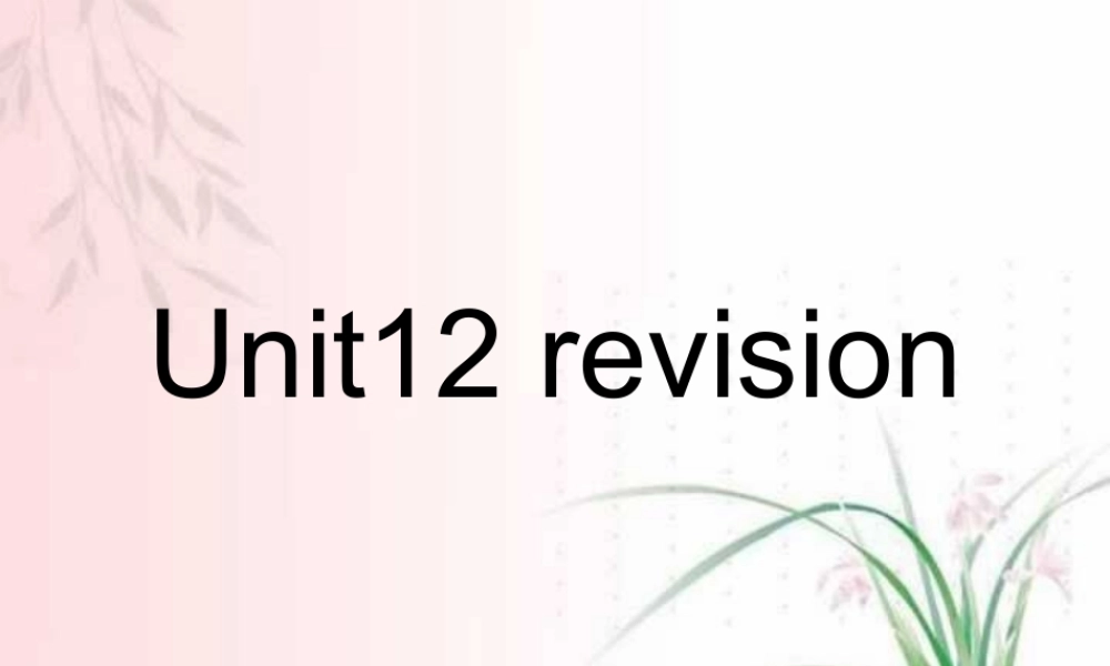 江苏地区高二英语学Unit12复习课件 人教版 课件