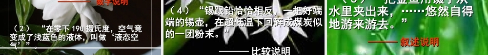 高中语文(奇妙的超低温世界)课件 粤教版必修3 课件