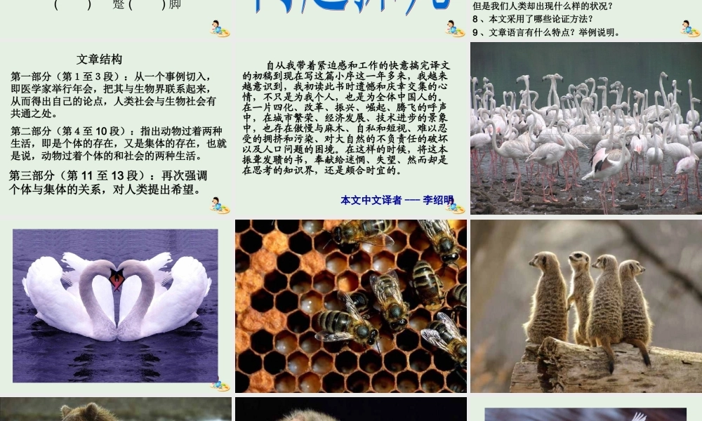 高中语文12作为生物的社会课件1新人教版必修5 课件