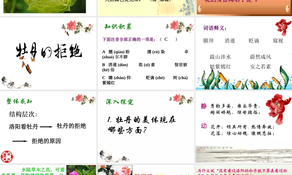 浙江省杭州职高语文牡丹的拒绝课件1 课件