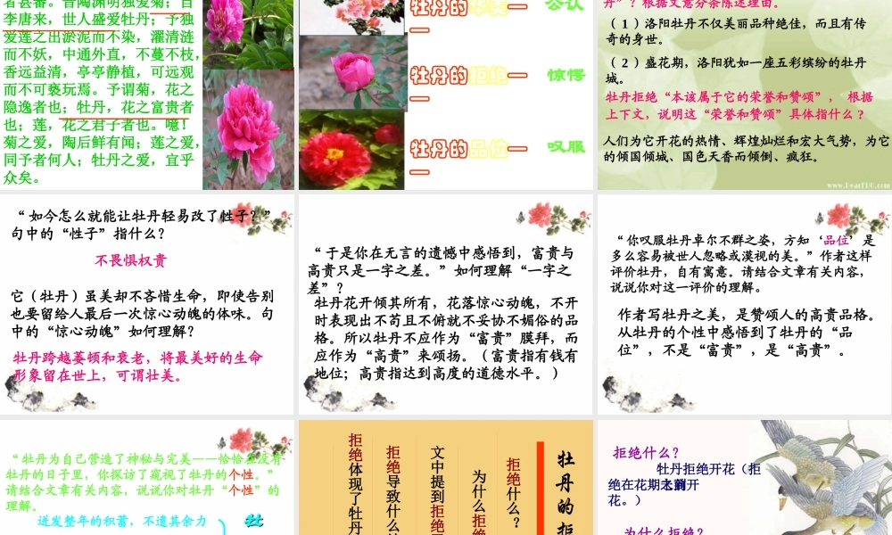 浙江省杭州职高语文牡丹的拒绝课件1 课件