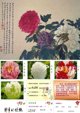 浙江省杭州职高语文牡丹的拒绝课件1 课件