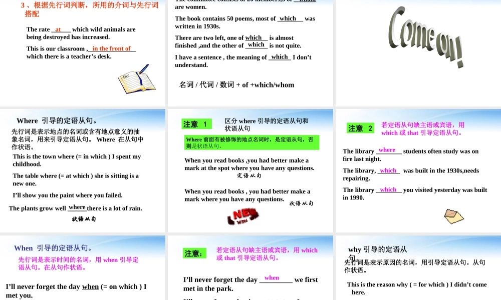高中英语 定语从句复习应注意的问题课件 牛津版 课件