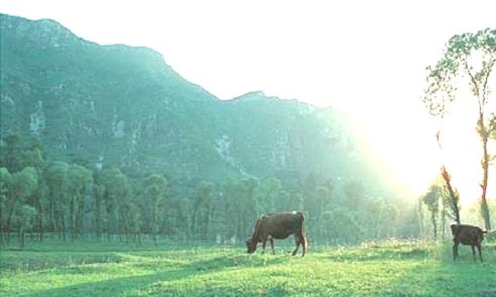 高考语文教材课件 北京版 课件