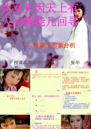 高二语文林黛玉形象分析课件