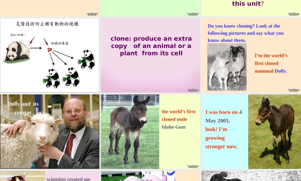 高二英语模块5第三单元Welcome to the unit 牛津版 课件