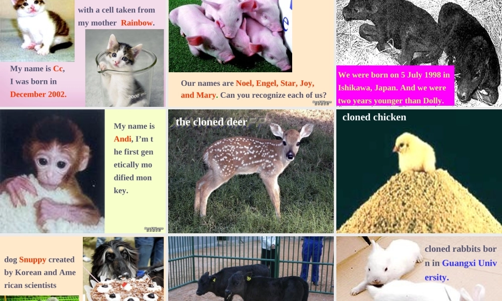 高二英语模块5第三单元Welcome to the unit 牛津版 课件