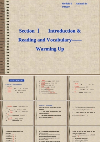 高中英语 Module6 SectionⅠ Introduction & Reading and Vocabulary Warming Up精品课件 外研版必修5 课件