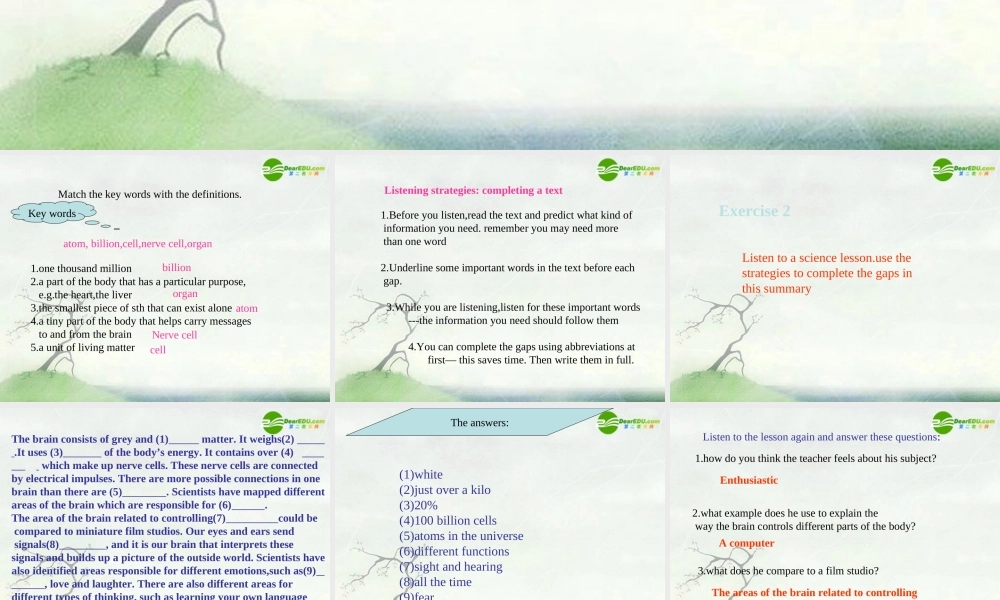 高中英语 Unit21 lesson2 brain power课件 北师大版选修7 课件