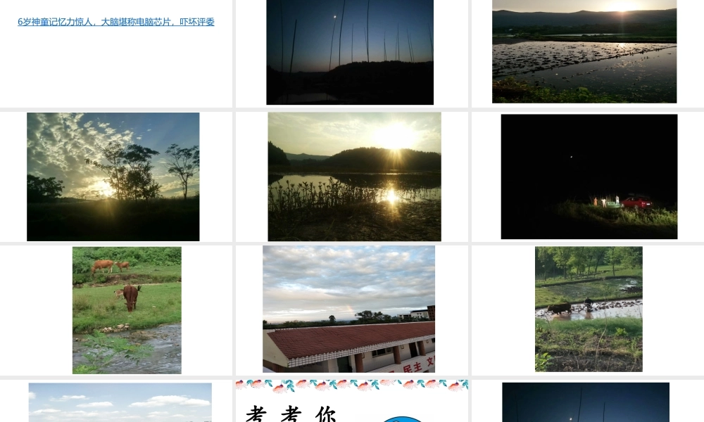 发展学习能力-(2)