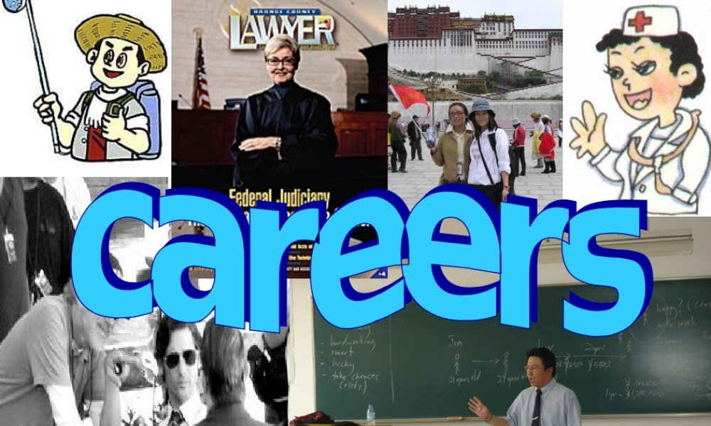 高中英语Unit 14 lesson 1 Your Choice课件1 北师大版 必修5 课件