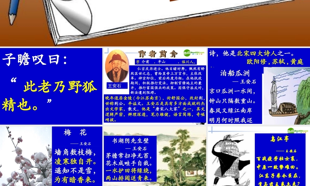 高中语文(桂枝香 金陵怀古)课件 大纲人教版 课件