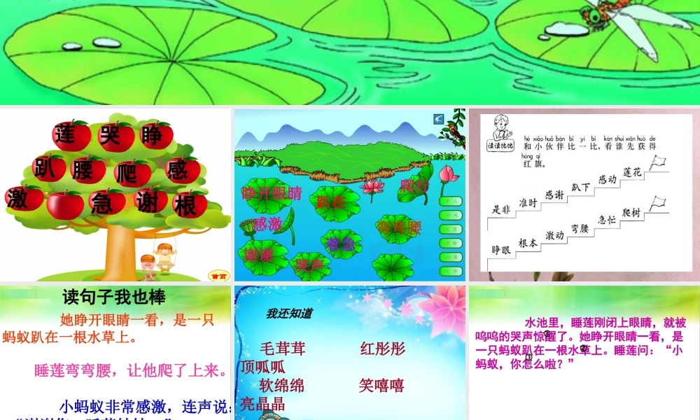 夏夜多美自制课件