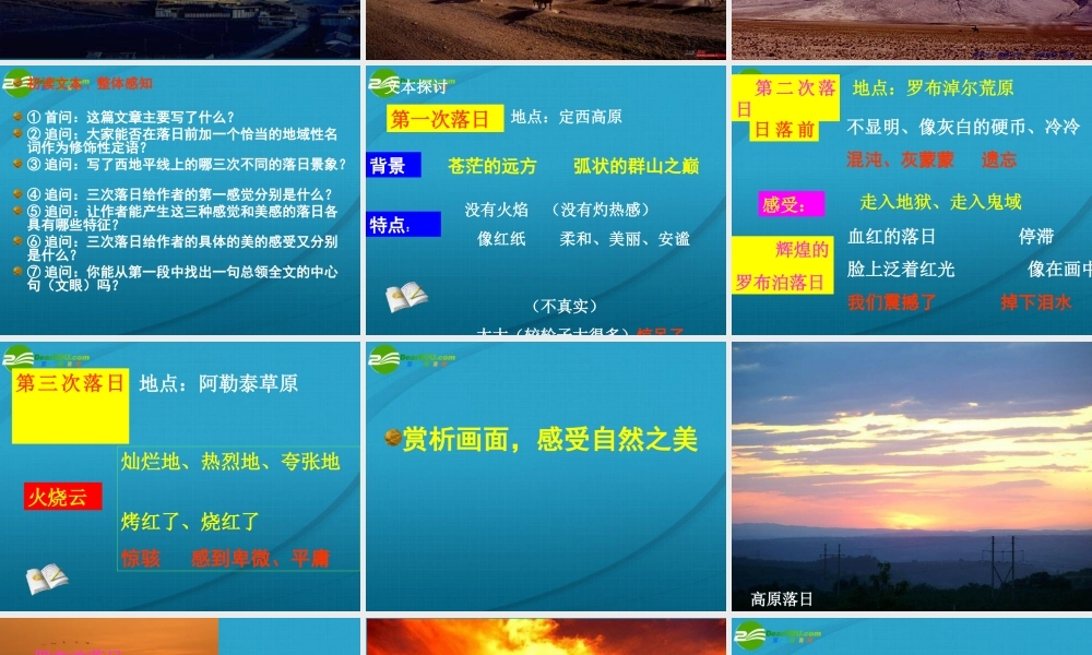 高中语文 第四专题第八课(西地平线上)课件 苏教版必修1 课件