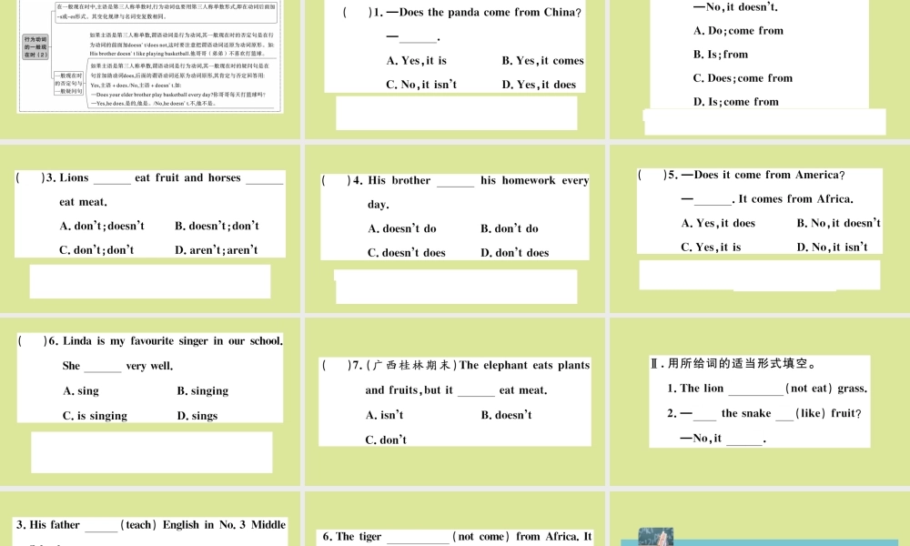 语上册 Module 6 A trip to the zoo模块语法讲练作业课件 (新版)外研版 课件
