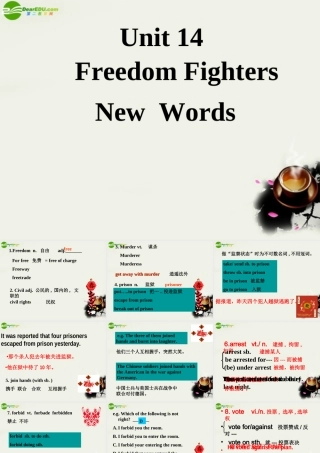 高二英语 Unit 14 Freedom Fighters New words课件 大纲人教版 课件