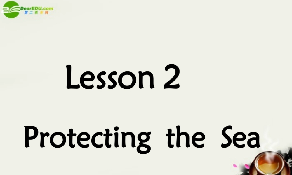 高中英语 Unit7 lesson2(The Sea)Protecting the Sea课件3 北师大版必修3 课件