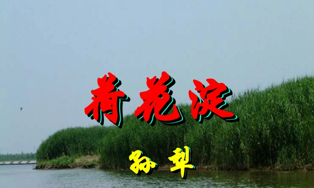 高中语文 第四单元之(荷花淀)课件 鲁人版必修1 课件