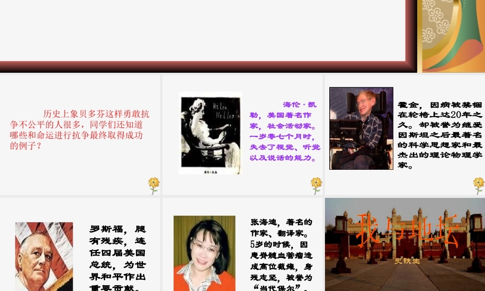 高中语文第一专题我与地坛课件1苏教版必修2 课件