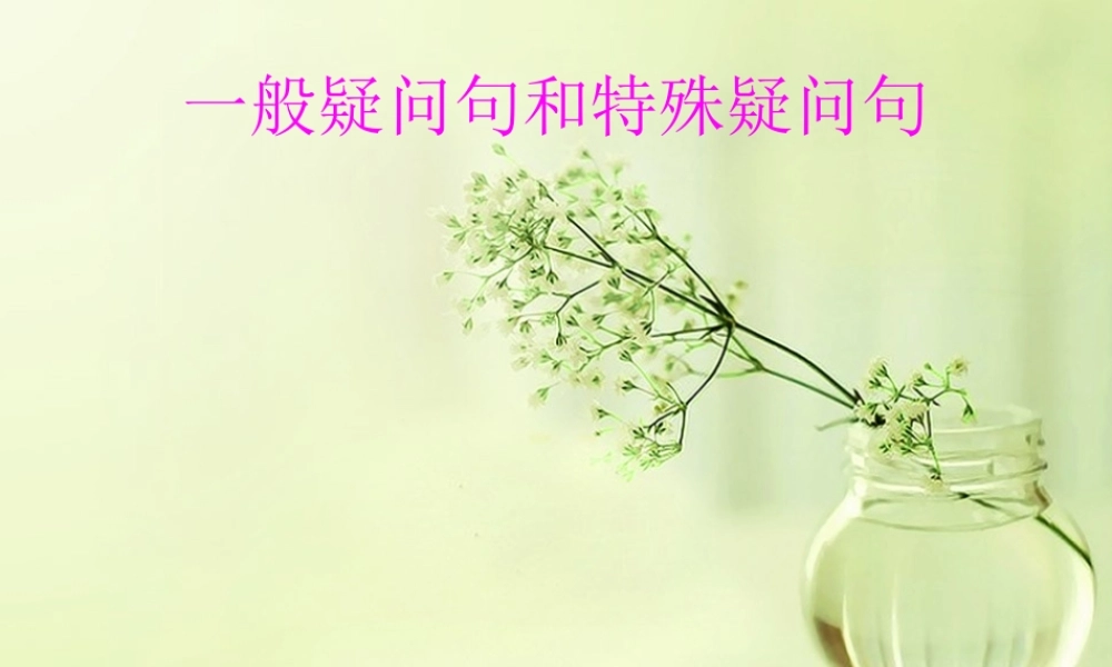初一unit5and6-一般疑问句和特殊疑问句