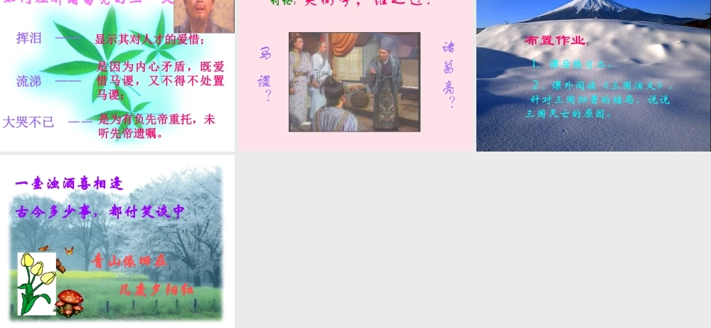 高中语文(失街亭)教学课件3 粤教版必修4 课件