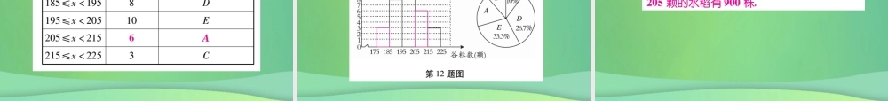 秋七年级数学上册 第六章 数据的收集与整理 6.3 数据的表示(第2课时)练习课件 (新版)北师大版 课件