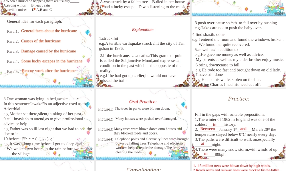 高二英语The Hurricane课件 新课标 人教版 课件