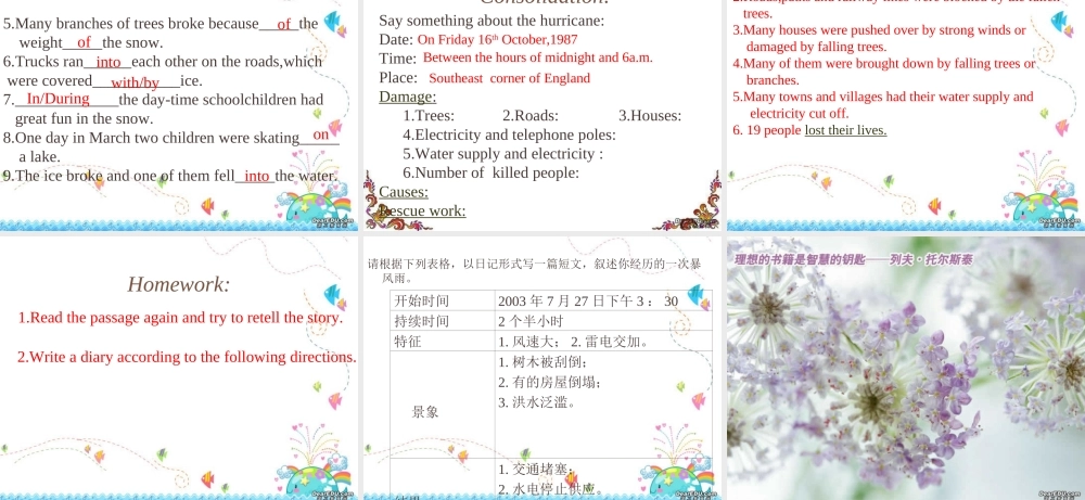 高二英语The Hurricane课件 新课标 人教版 课件