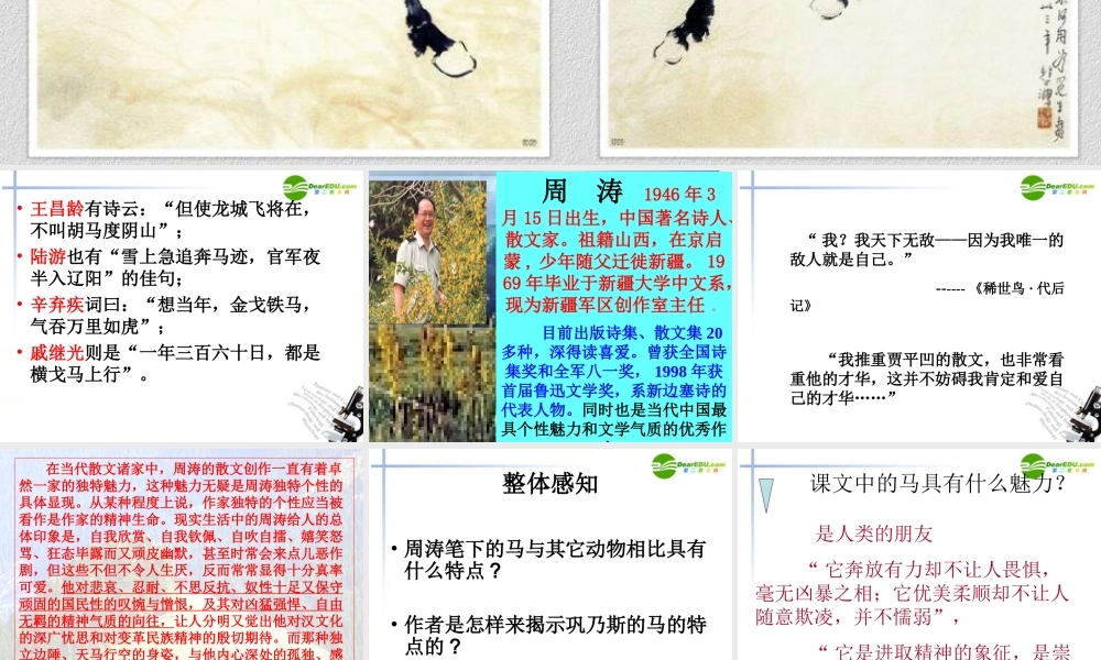 高中语文(巩乃斯的马)课件 粤教版必修3 课件