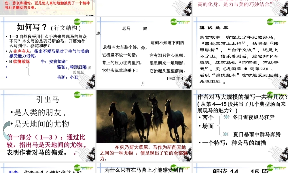 高中语文(巩乃斯的马)课件 粤教版必修3 课件