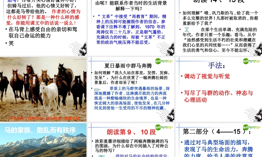 高中语文(巩乃斯的马)课件 粤教版必修3 课件