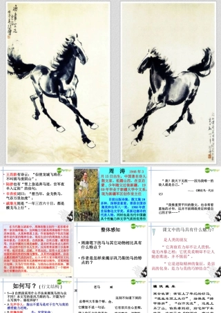 高中语文(巩乃斯的马)课件 粤教版必修3 课件