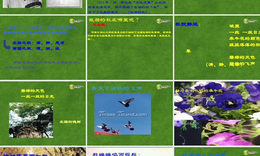 高三语文 故都的秋复习课件