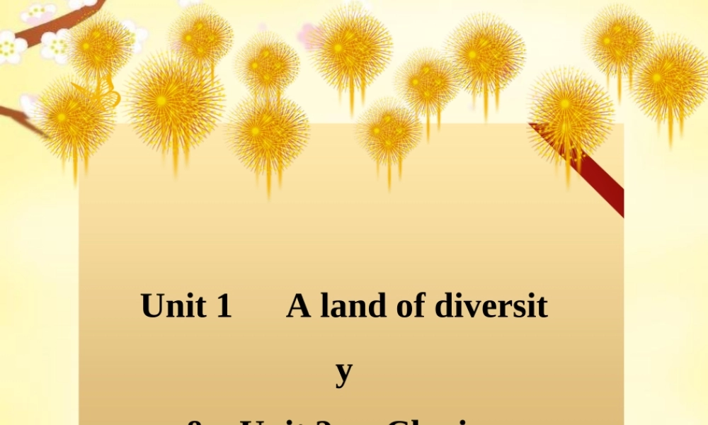 高考英语 Unit 1 A land of diversity课件 新人教版选修8 课件
