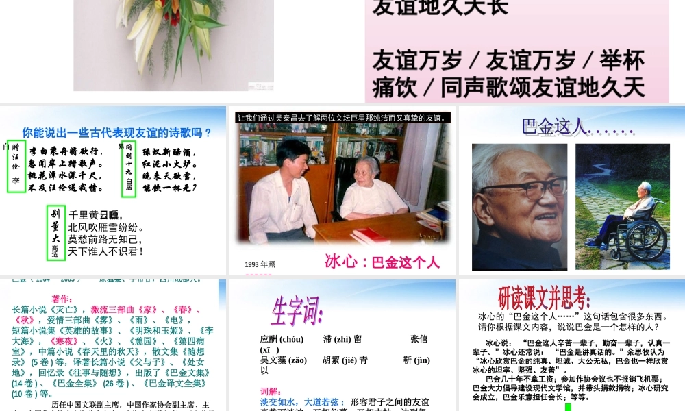 高中语文 冰心巴金这个人课件3 粤教版必修2 课件