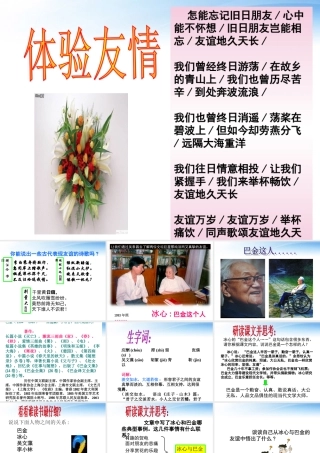 高中语文 冰心巴金这个人课件3 粤教版必修2 课件