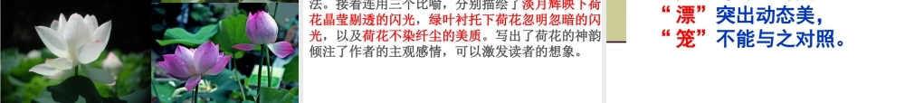 11荷塘月色