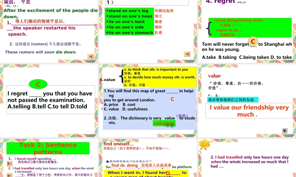 高三英语第一轮复习高一Unit17课件 新课标 人教版 课件