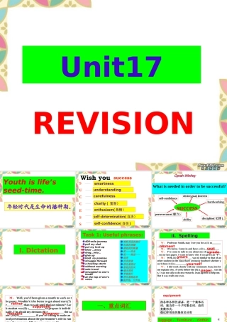 高三英语第一轮复习高一Unit17课件 新课标 人教版 课件
