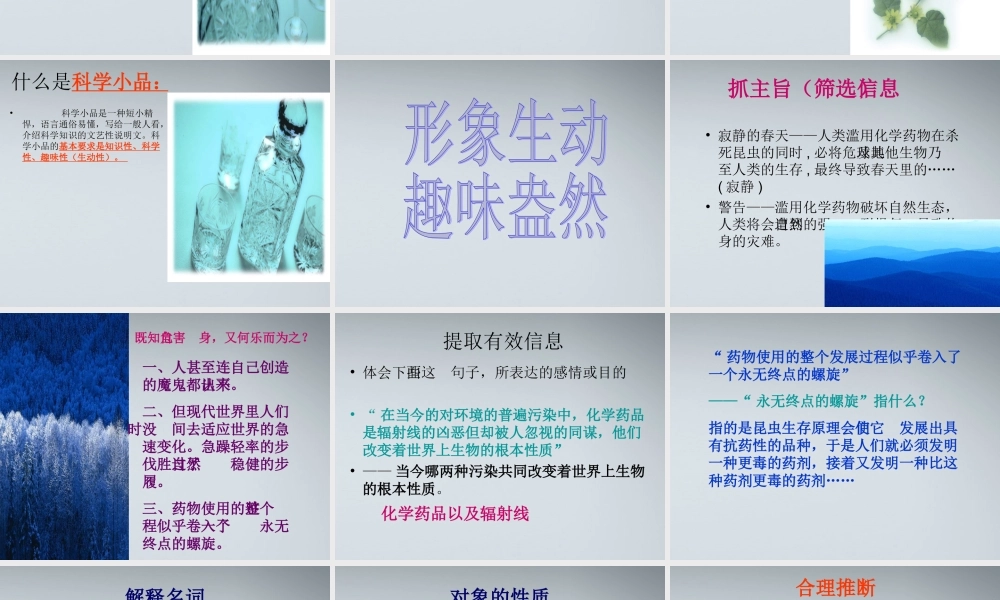 高中语文 26(寂静的春天)课件 粤教版必修3 课件