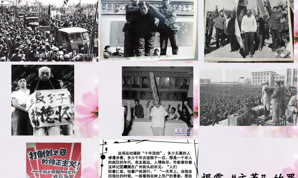 高中语文 小狗包弟课件3课件 新人教版必修1 课件