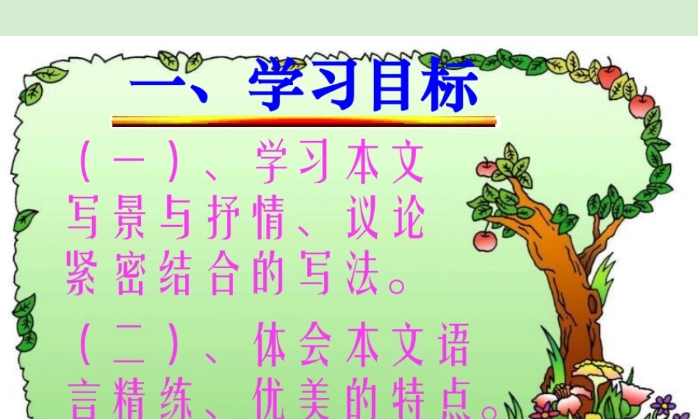 高中语文 413(赤壁赋)课件(3) 苏教版必修1 课件