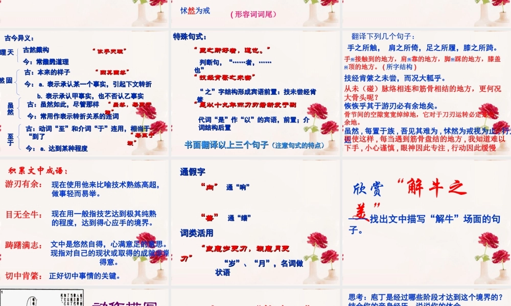 高中语文(庖丁解牛)课件5 新人教版选修 课件