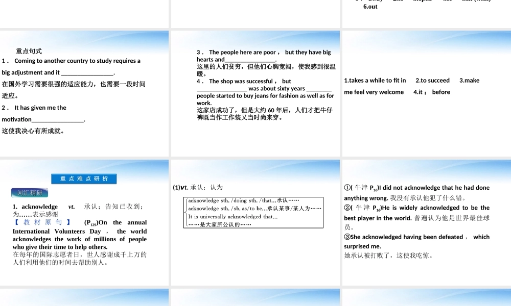 高考英语总复习 Units 15 Popular youth culture课件 大纲人教版 课件