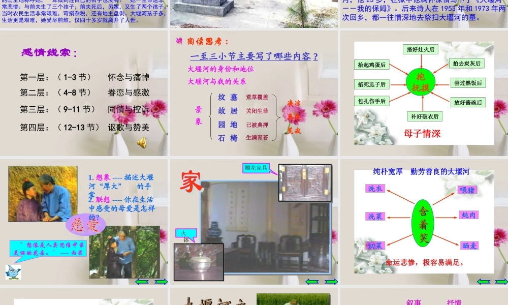 高中语文 大堰河我的保姆3课件 新人教版必修1 课件