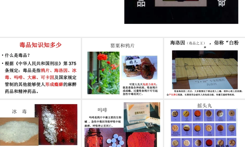 《珍爱生命-拒绝毒品》毒品预防教育课件