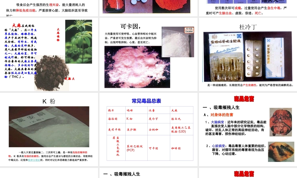 《珍爱生命-拒绝毒品》毒品预防教育课件