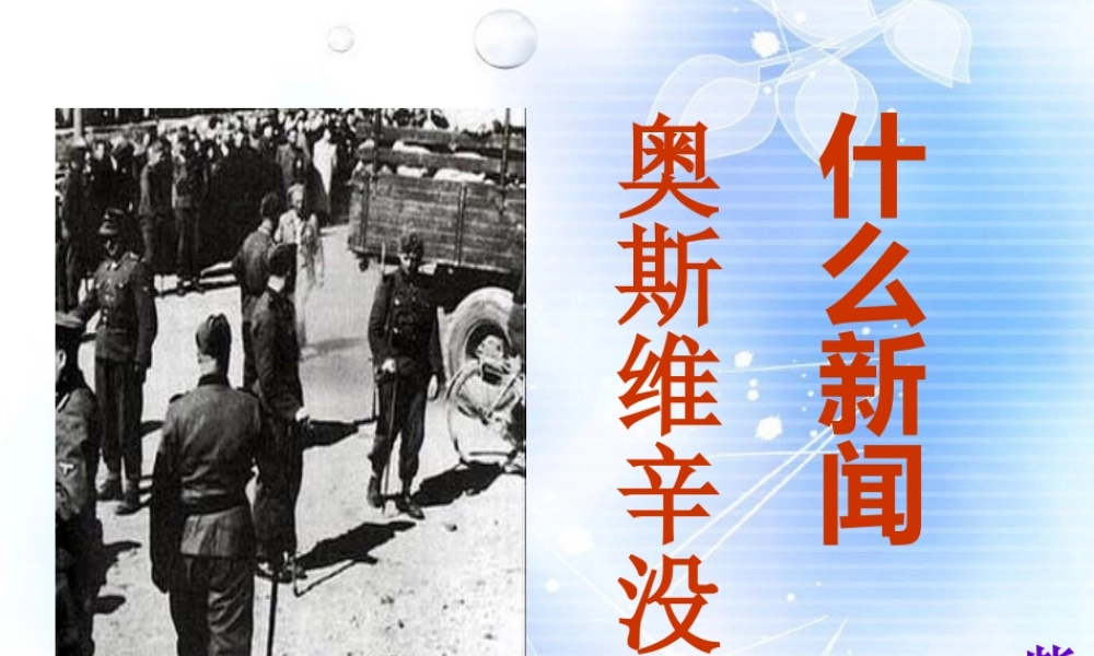 高中语文 第四单元第13课之奥斯维辛没有什么新闻课件 新人教版必修1 课件